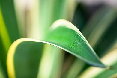 卡普空：玩家对我们首款70美元游戏反响一般